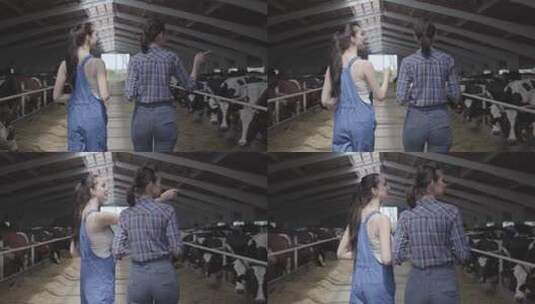行走在牛圈的两个女孩高清在线视频素材下载