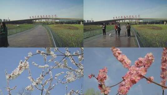 合集_西安浐灞湿地公园游人4K空镜高清在线视频素材下载
