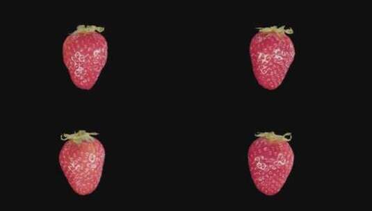 红草莓旋转Alpha通道高清在线视频素材下载