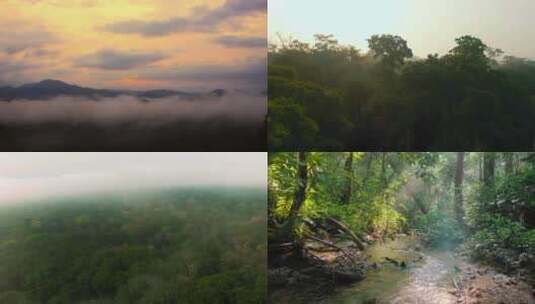 云海日出清晨雾气云南广西森林茂密树木绿色植被绿色青山 (1)高清在线视频素材下载