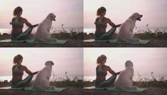 女人带着狗子在海边练习瑜伽高清在线视频素材下载