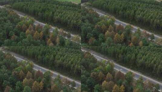 航拍穿过森林的道路高清在线视频素材下载