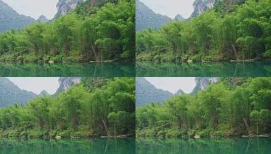 美丽江河畔竹子竹林自然风景高清在线视频素材下载