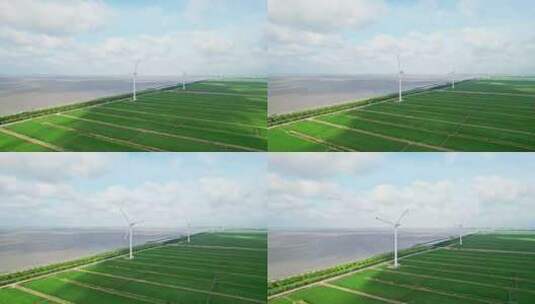 中国上海长兴岛海边稻田风车高清在线视频素材下载