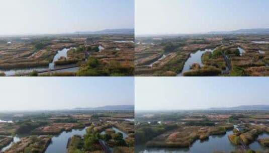 浙江省湖州市德清下渚湖湿地景区航拍高清在线视频素材下载