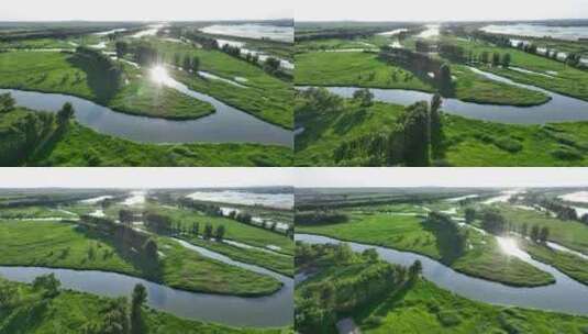 4K生态绿色辽河河流湖泊湿地碳汇高清在线视频素材下载