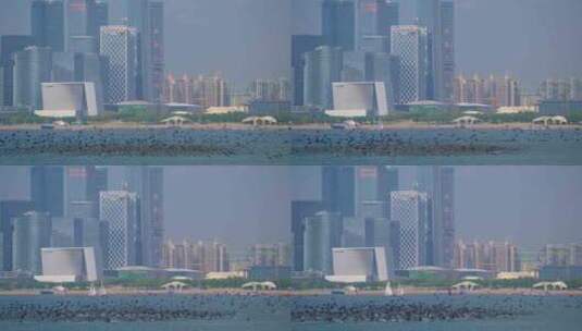 8K深圳欢乐港湾鸬鹚28高清在线视频素材下载