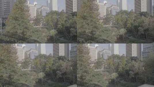 香港遮打花园清晨风光高清在线视频素材下载