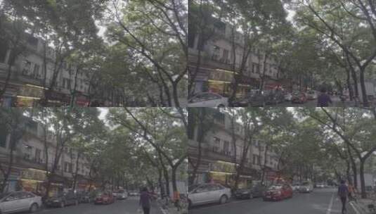 街边大树高清在线视频素材下载