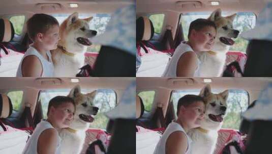 微笑的小男孩拥抱秋田犬坐在后座的车里高清在线视频素材下载