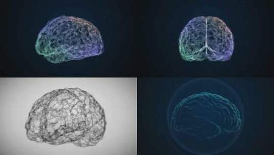 大脑动画视频高清在线视频素材下载