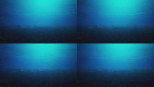 4K海底世界素材高清在线视频素材下载