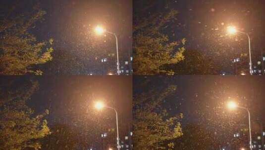 冬天下雪的夜晚街灯照亮了天空高清在线视频素材下载