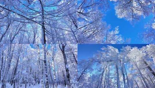 冬季森林天空雪景光影高清在线视频素材下载