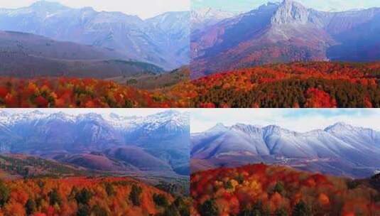 秋日山林与远处山脉风景高清在线视频素材下载