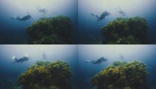 潜水员潜入海底探索高清在线视频素材下载