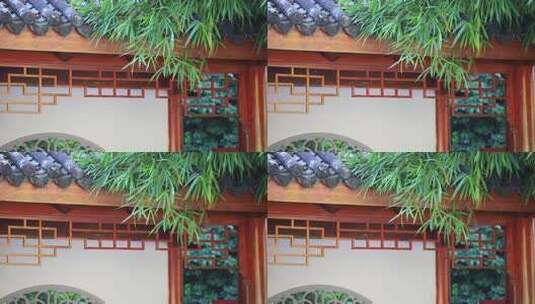 意境竹林竹影，中式古典园林高清在线视频素材下载