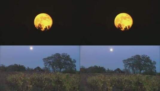 月亮素材高清在线视频素材下载