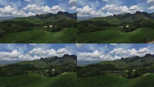茶园航拍日照绿茶山丘生态茶园高清在线视频素材下载