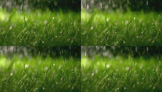 草地下雨雨滴落下高清在线视频素材下载