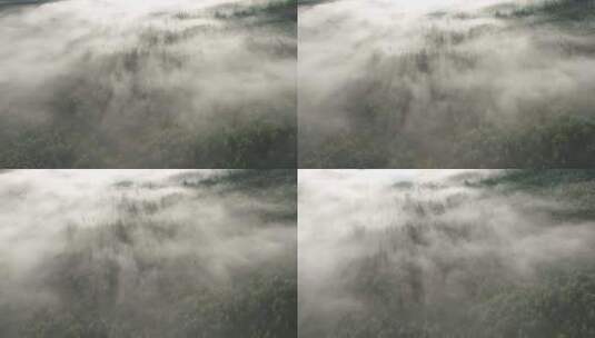 航拍大兴安岭高山森林云海晨雾高清在线视频素材下载