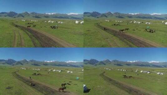 大草原航拍 吃草的马 山 蓝天风景高清在线视频素材下载
