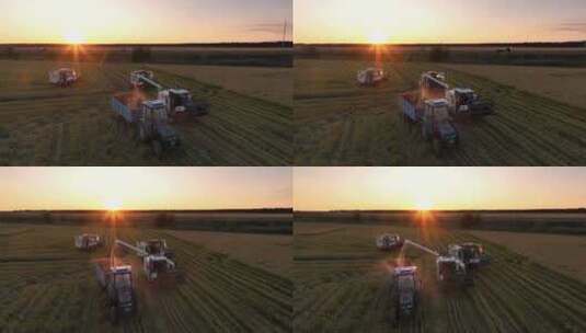 夕阳下收割机在水稻田收割稻谷航拍高清在线视频素材下载