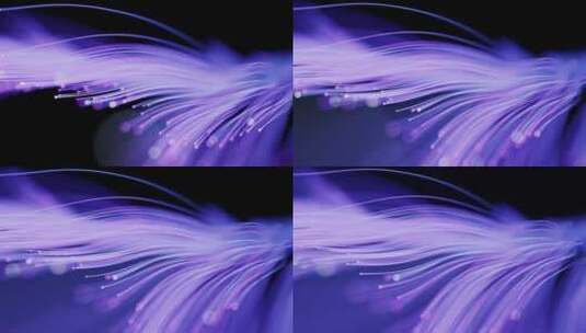 流动生长的粒子曲线背景3D渲染高清在线视频素材下载