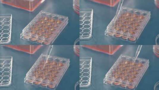 科学 实验 试管 基因 研究高清在线视频素材下载