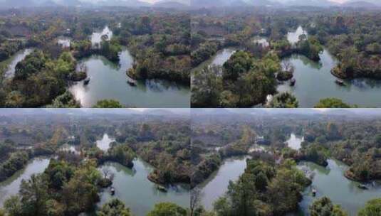 摇橹船在杭州西溪湿地河道中前行高清在线视频素材下载