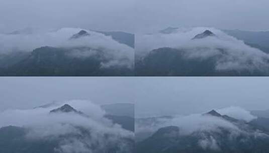 洪雅 森林 烟雾缭绕 自然云雾山脉高清在线视频素材下载
