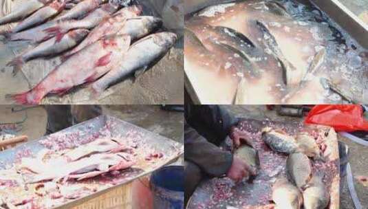 卖鱼 杀鱼 菜市场 水产 鲤鱼高清在线视频素材下载