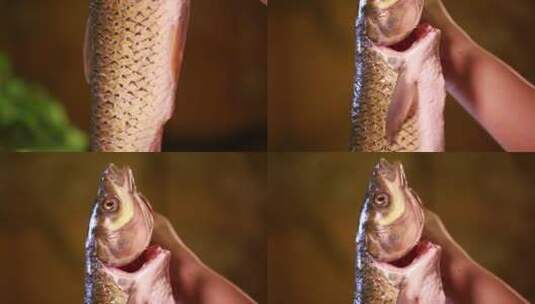 食材草鱼鱼肉 (14)高清在线视频素材下载