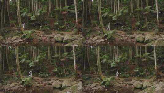 森林小路上奔跑的太空男孩高清在线视频素材下载