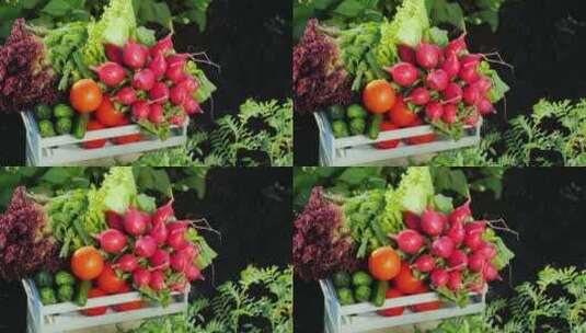 一盒新的鲜蔬菜高清在线视频素材下载
