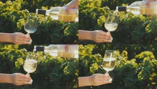 在葡萄园里将白葡萄酒倒入酒杯高清在线视频素材下载