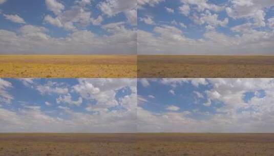 纳米比亚贫瘠的大草原高清在线视频素材下载