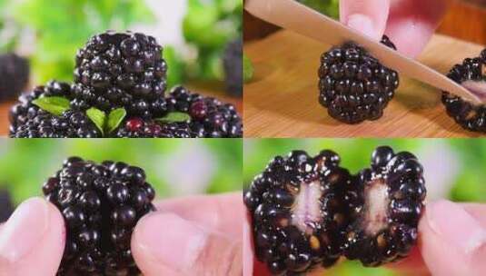 黑莓素材高清在线视频素材下载
