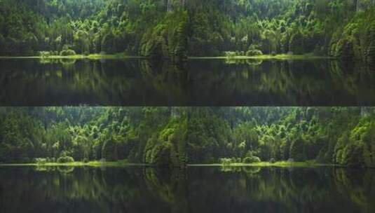 绿色森林湖泊 唯美自然风光高清在线视频素材下载