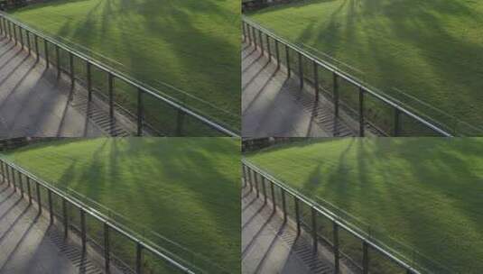 阳光照射在草地上高清在线视频素材下载