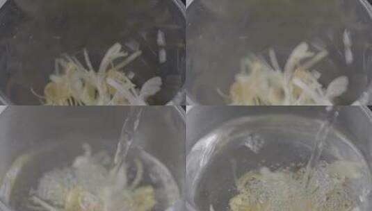 金银花饮LOG高清在线视频素材下载