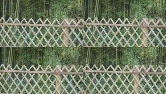 竹林栅栏竹子竹叶意境镜头8K实拍高清在线视频素材下载