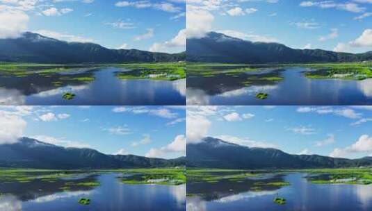夏天绿色清新的腾冲北海湿地高清在线视频素材下载