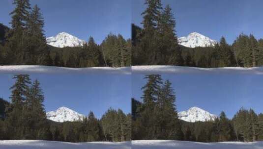 森林雪地景观高清在线视频素材下载