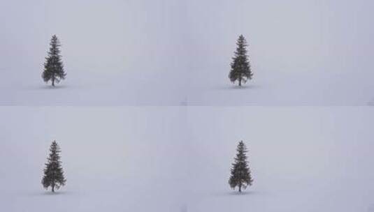 唯美雪景视频高清在线视频素材下载