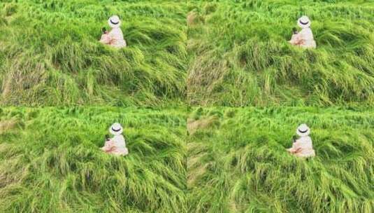 慢镜头升格拍摄江西鄱阳湖草海中的少女背影高清在线视频素材下载