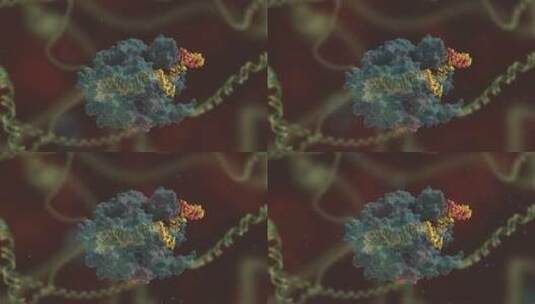 生物科学 基因编辑 DNA 基因工程 医学动画高清在线视频素材下载