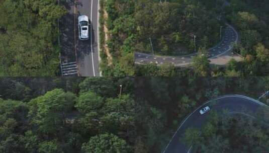 汽车行驶在公路滨海路林间穿梭弯路驾驶山路高清在线视频素材下载