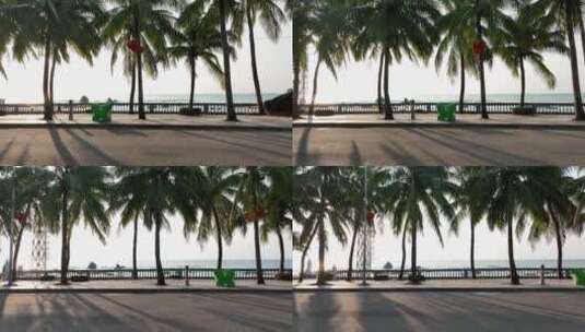 海边公路和椰子树高清在线视频素材下载