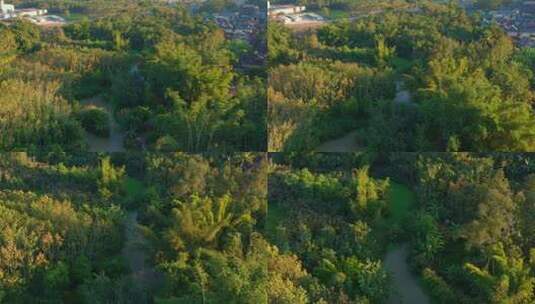 航拍西双版纳野象谷曼掌村原始森林景色高清在线视频素材下载